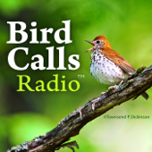 BirdCallsRadio