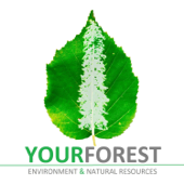 YourForest