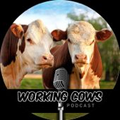 Working Cows - Regenerative Ranching to Maximize Profitability and Soil Health