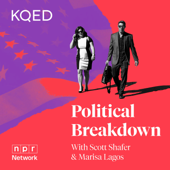 Political Breakdown
