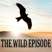 The Wild Episode