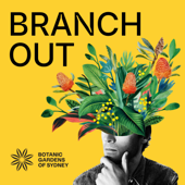 Branch Out