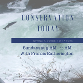 Conservation Today