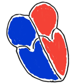 Deconstructed Cardiology