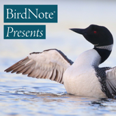 BirdNote Presents