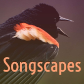 Songscapes
