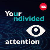 Your Undivided Attention