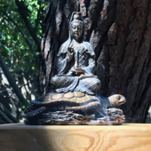 Down with the Dharma