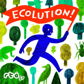 Ecolution