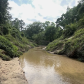 The CCERP Podcast: For the Love of Nature