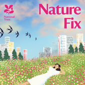 Nature Fix