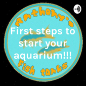 First steps to start your aquarium!!!