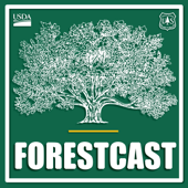 Forestcast