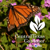 Central Texas Gardener