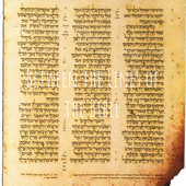 Between the Lines of the Bible