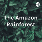 The Amazon Rainforest