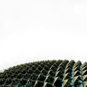 The States Matter And The Forces That Act Upon Them