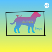 Why do you need therapy dogs?