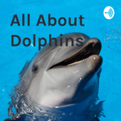 All About Dolphins