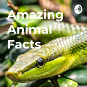 Amazing Animal Facts