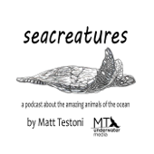 Seacreatures