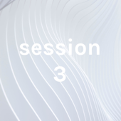 session 3