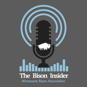 The Bison Insider