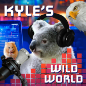 Kyle's Wild World