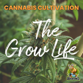 The Grow Life: Cannabis Cultivation
