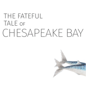 The Fateful Tale of Chesapeake Bay