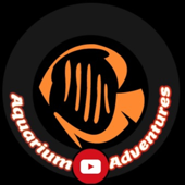 Aquarium Adventures