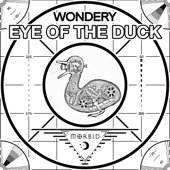 Eye of the Duck