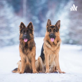 Dog Breeds