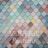Volleyball Positions