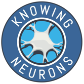 Knowing Neurons