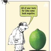 Can I check you for ticks?