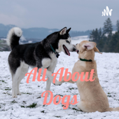 All About Dogs
