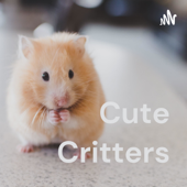 Cute Critters