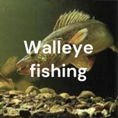 Walleye fishing
