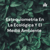 Estequiometria En La Ecológica Y El Medió Ambiente