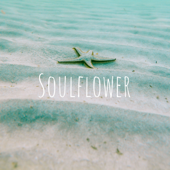 Soulflower