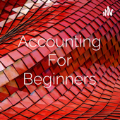 Accounting For Beginners