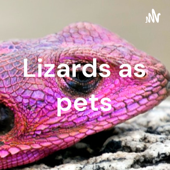 Lizards as pets