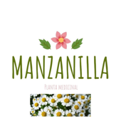 Podcast Química-planta Medicinal