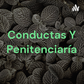 Conductas Y Penitenciaría