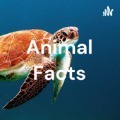 Animal Facts