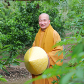 Thích Trí Huệ