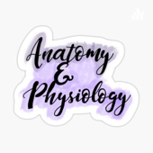 What&Why: Anatomy&Physiology Edition