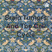 Brain Tumors And The Cell Cycle