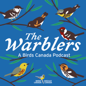 The Warblers by Birds Canada